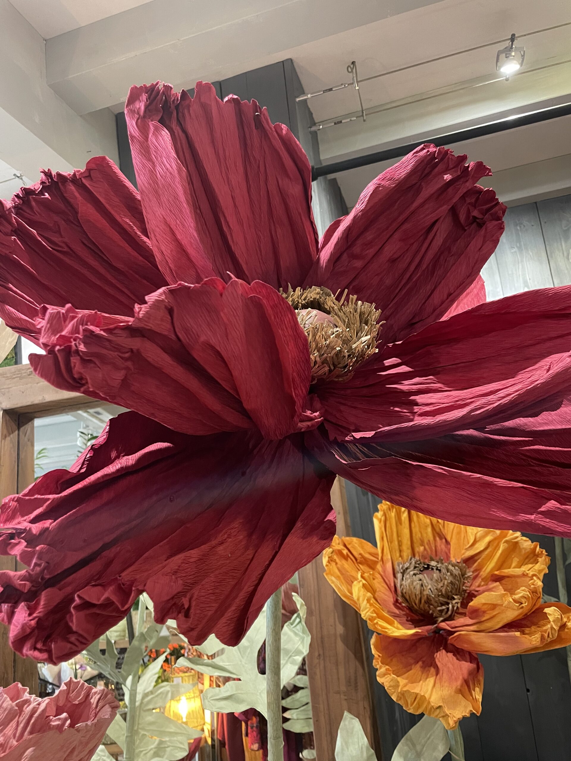 Fleurs en papier XXL 7 Fleurs en papier XXL